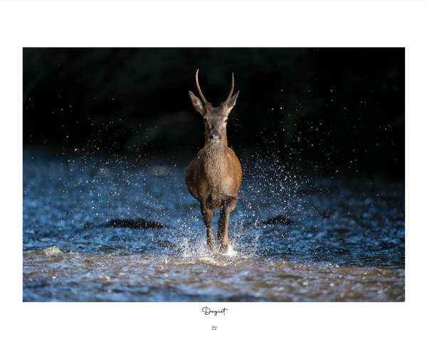 Corrèze Sauvage, d’Aurores en Crépuscules – Image 2