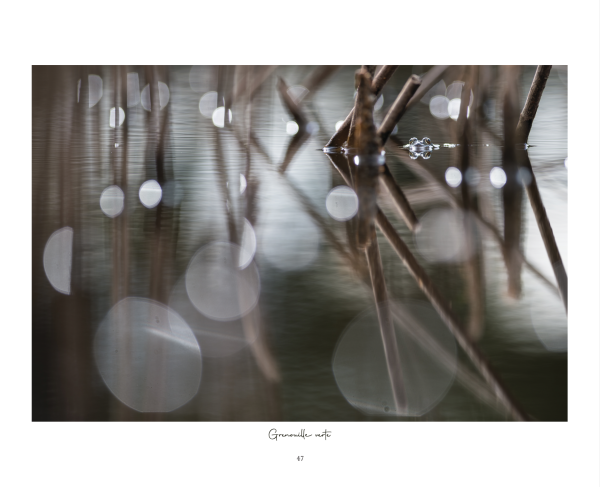 Corrèze Sauvage, d’Aurores en Crépuscules – Image 3
