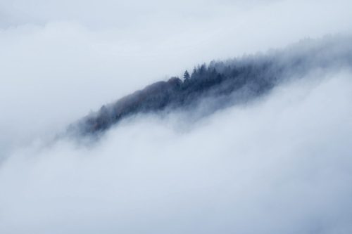 Brume